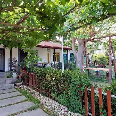 B&B Mavi Pansiyon